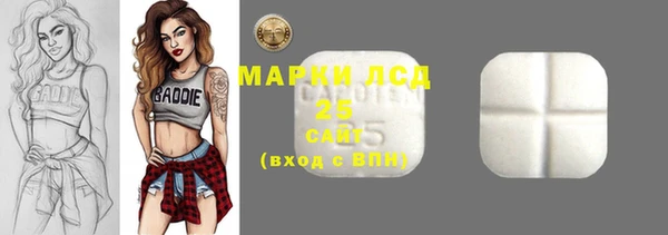индика Абинск