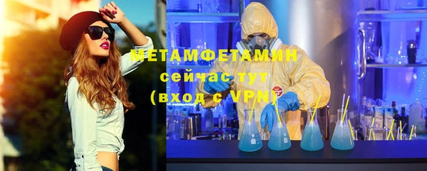 стаф Осинники