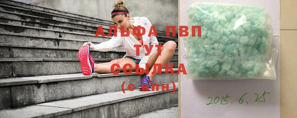 крисы Абаза