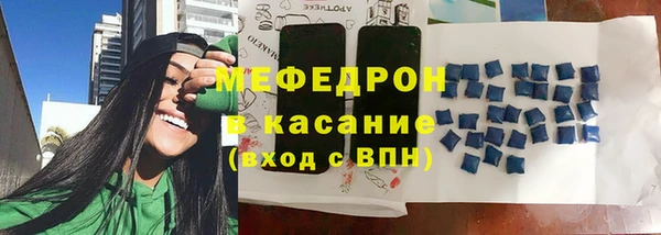 стаф Осинники